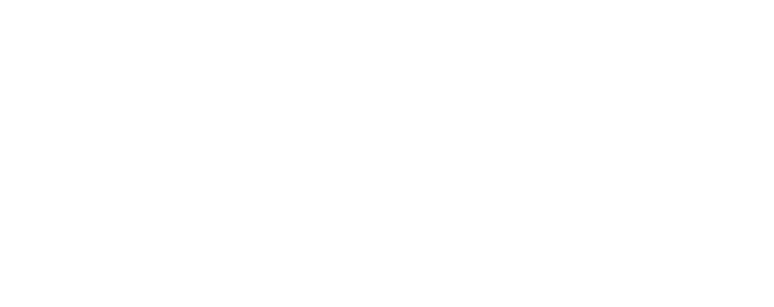 Balletschool Zeewolde